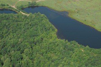 Property photo 4 - 1,025 Acres in 24 Tracts - Exellent Recreation Opportunity - Potential Building Sites - 11 Lakes & Ponds